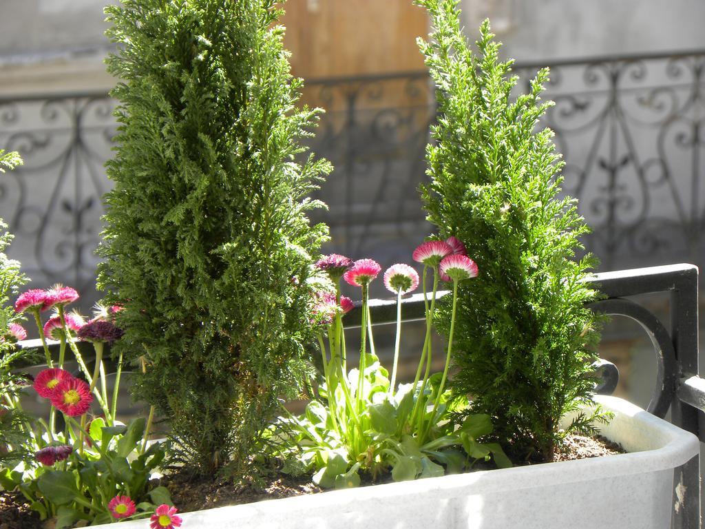 Prince Machabeli Apartments Tbilisi Exterior foto